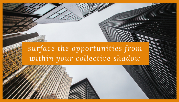 A Spotlight on Your Collective Shadow Reveals Opportunities