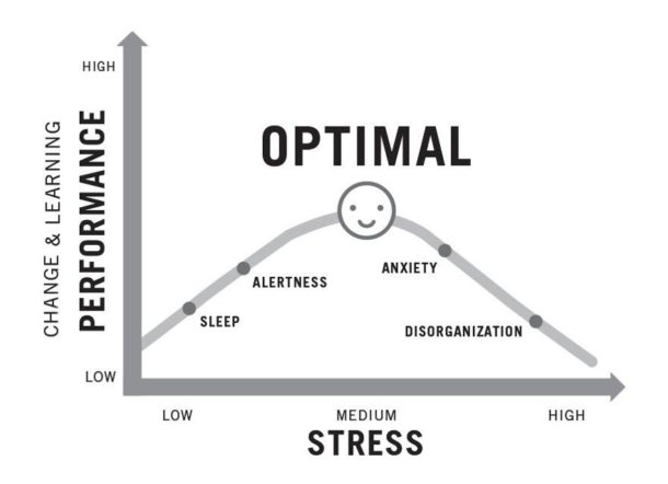 optimal-performance-impactbank