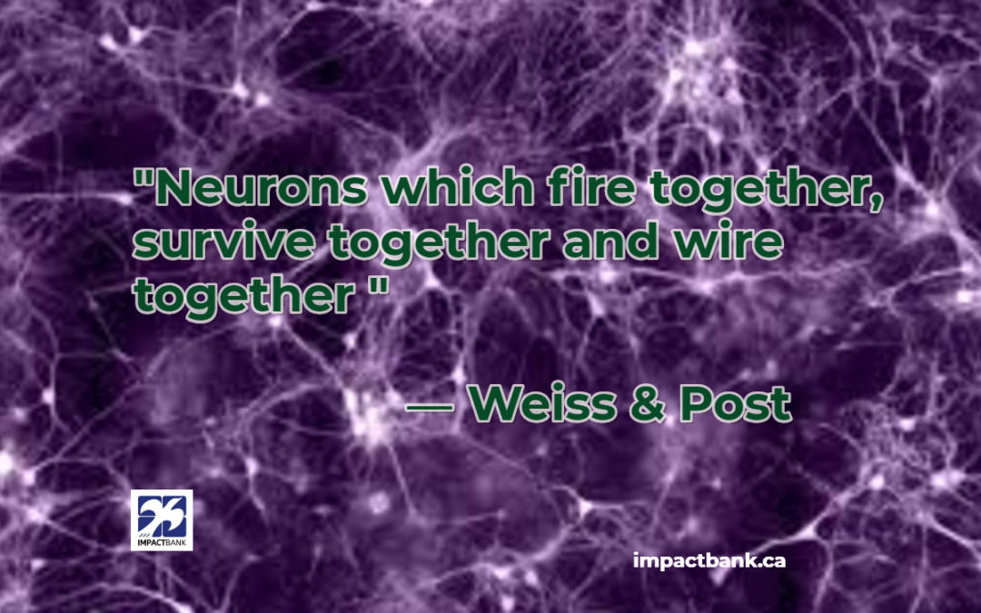 The Social Brain Wires Together What Fires Together